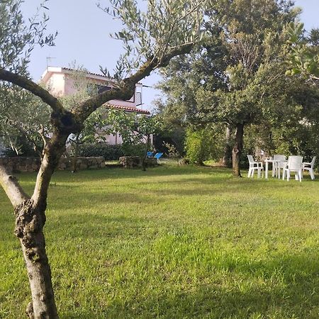 Appartamento In Villa Bruno Olbia Dış mekan fotoğraf