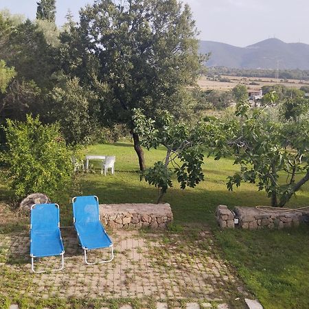Appartamento In Villa Bruno Olbia Dış mekan fotoğraf