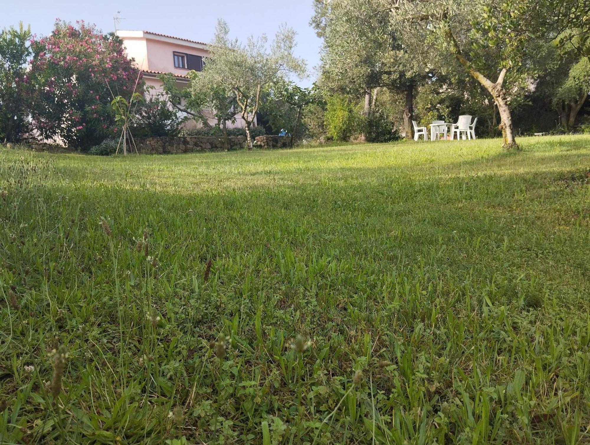 Appartamento In Villa Bruno Olbia Dış mekan fotoğraf